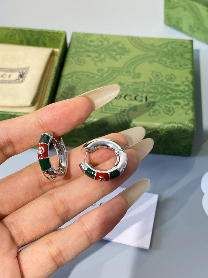 A1246  Women's new fashionable earring jewelry