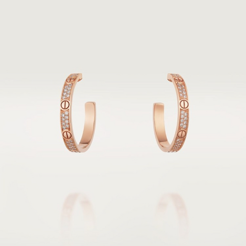 A1220 Women's new fashionable earrings and jewelry